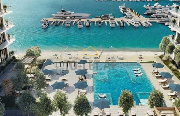 Photo #2 Flowers for sale in United Arab Emirates, Al Rashidiya, United Arab Emirates, Umm Al Quwain, Al Rashidiya